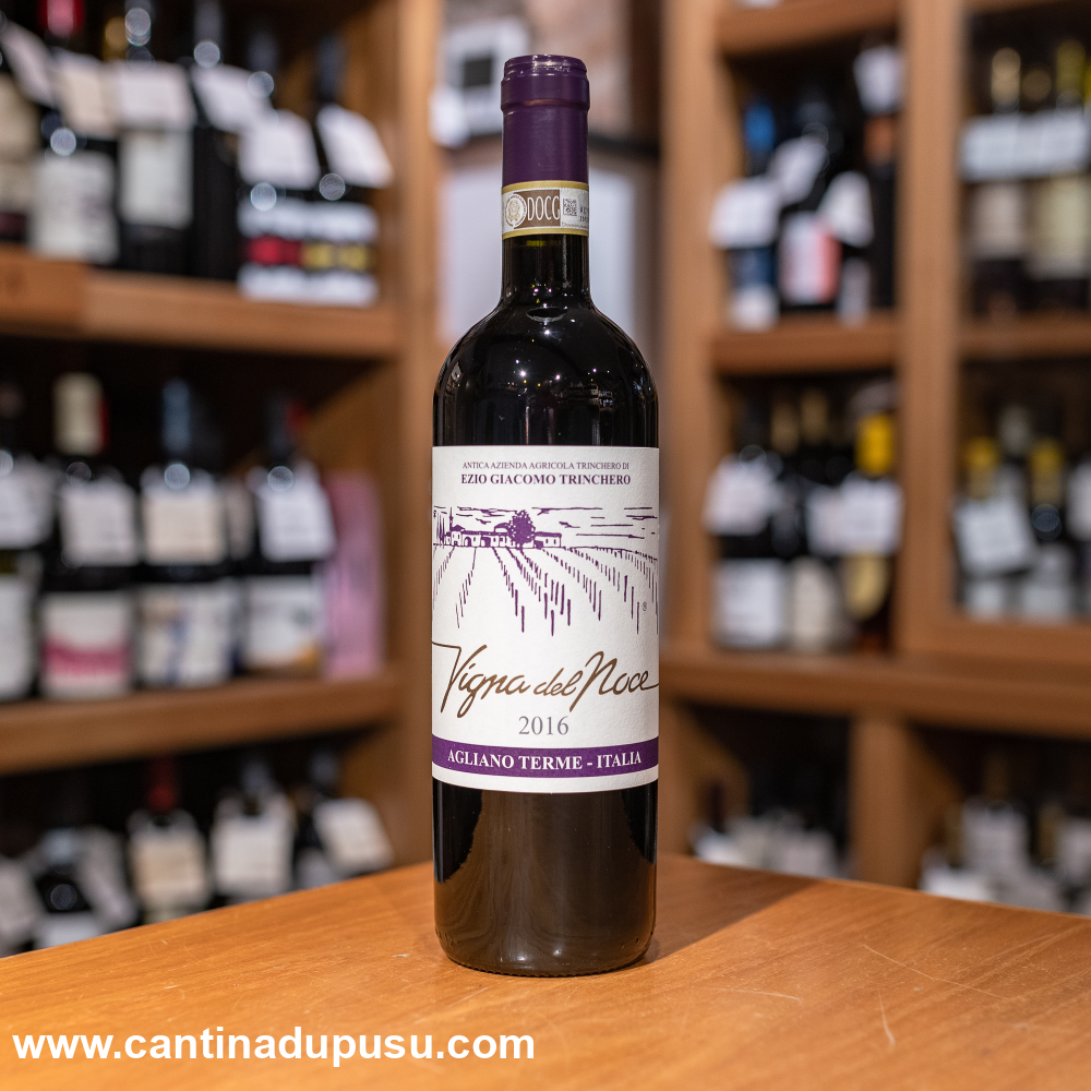 Barbera d'Asti Vigna del Noce Botti Castagno